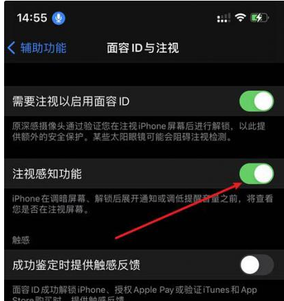 阳日镇苹果14维修网点分享iPhone14注视感知功能有什么用 